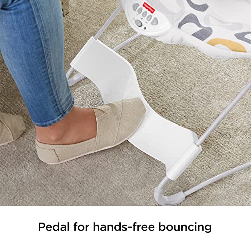 Fisher-Price See & Soothe Deluxe Bouncer