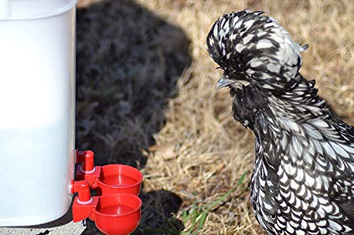 Pack of 6 - RentACoop Automatic Chicken Water Nipple Cup Waterer Kit for Poultry