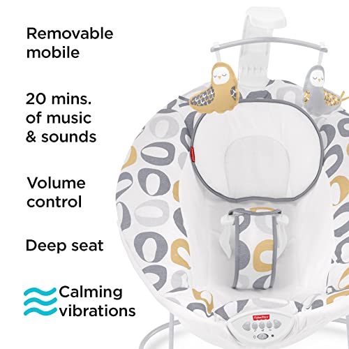 Fisher-Price See & Soothe Deluxe Bouncer