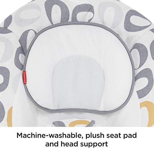 Fisher-Price See & Soothe Deluxe Bouncer