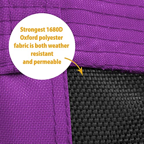 Saucer Tree Swing ,Giant 40 Inches with Carabiners and Flags, 700 lb Weight Capacity, Steel Frame, Waterproof, Easy to Install with Step by Step Instructions, Non-Stop Fun! (Rainbow)