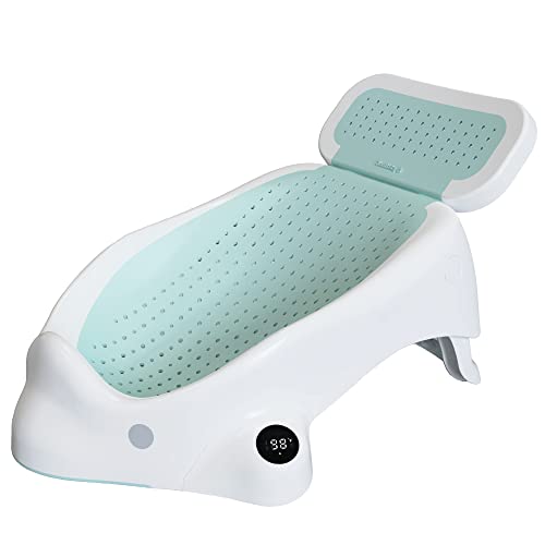 Jool Baby Aqua Baby Bather with Thermometer