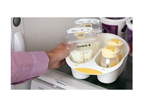 Medela Breast Milk Storage Solution Set