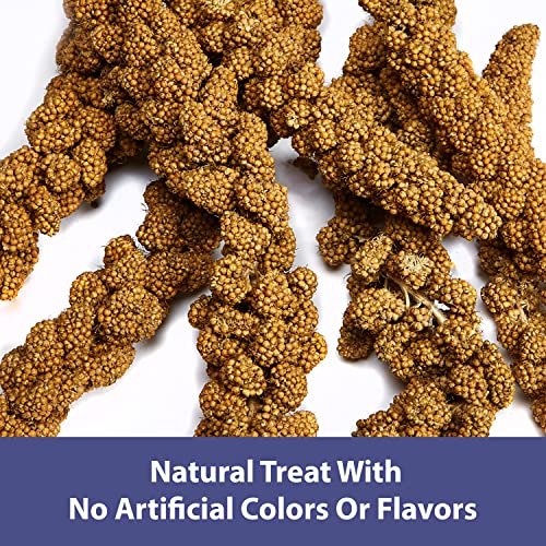 Kaytee Spray Millet For Birds, 12 Count (Pack of 1) (Packaging may Vary)