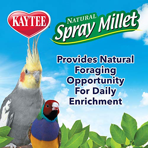 Kaytee Spray Millet For Birds, 12 Count (Pack of 1) (Packaging may Vary)