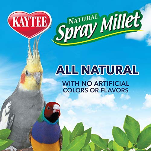 Kaytee Spray Millet For Birds, 12 Count (Pack of 1) (Packaging may Vary)