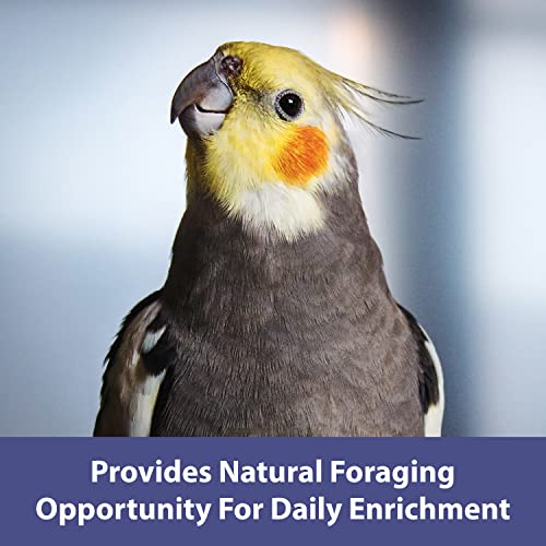 Kaytee Spray Millet For Birds, 12 Count (Pack of 1) (Packaging may Vary)