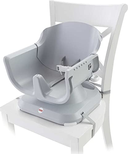 Fisher-Price SpaceSaver High Chair, Multicolor