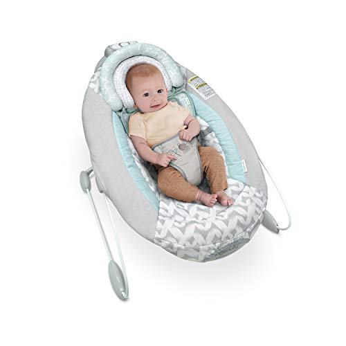 Ingenuity Head in The Clouds 2Piece Head Support Insert & Strap Covers for Car Seats, Strollers, & Bouncers - Fern