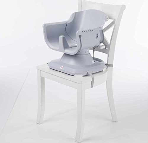 Fisher-Price SpaceSaver High Chair, Multicolor