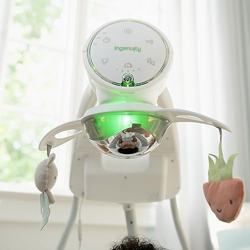 Ingenuity Soothing Swing & Rocker - Vibrating Seat