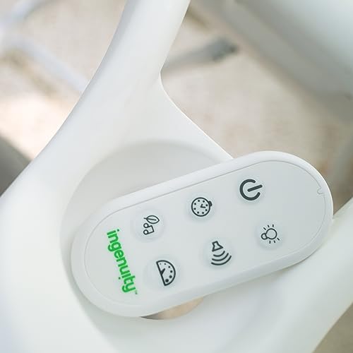 Ingenuity Soothing Swing & Rocker - Vibrating Seat