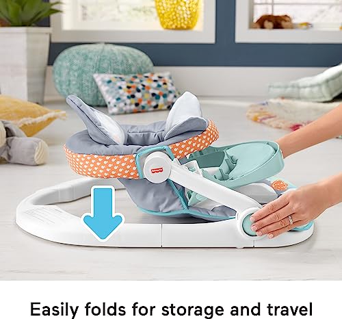 Fisher-Price Sit-Me-Up Floor Seat with Tray - Penguin Island