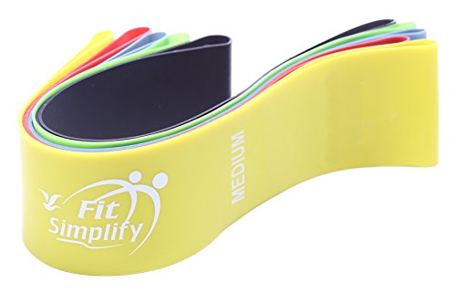 Fit Simplify Resistance Loop Exercise Bands for Home Fitness, Stretching, Strength Training, Physical Therapy, Workout Bands, Pilates Flexbands, Set of 5