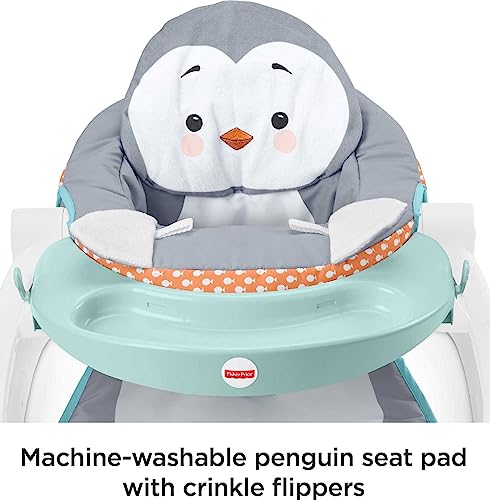 Fisher-Price Sit-Me-Up Floor Seat with Tray - Penguin Island