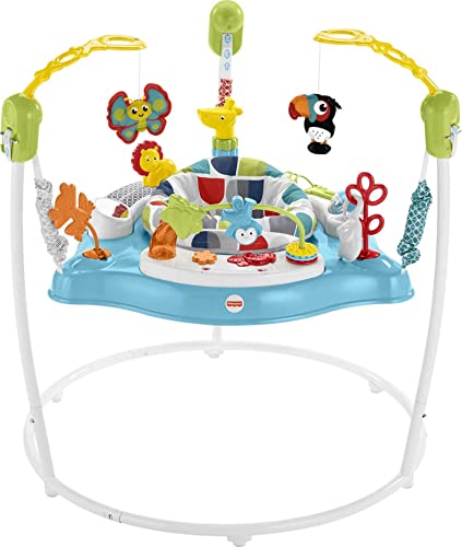 Fisher-Price Color Climbers Jumperoo