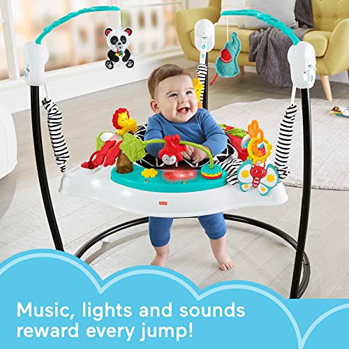 Fisher-Price Animal Wonders Jumperoo, White