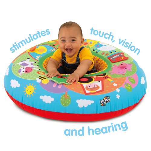 Galt Toys, Playnest - Farm, Baby Activity Center & Floor Seat, Multicolor