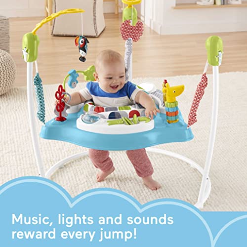 Fisher-Price Color Climbers Jumperoo