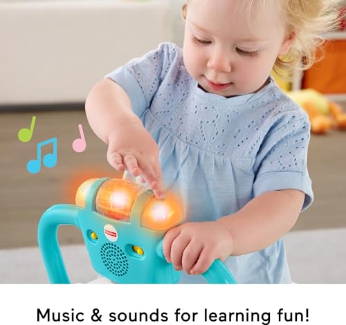 Fisher-Price Bounce and Spin Puppy