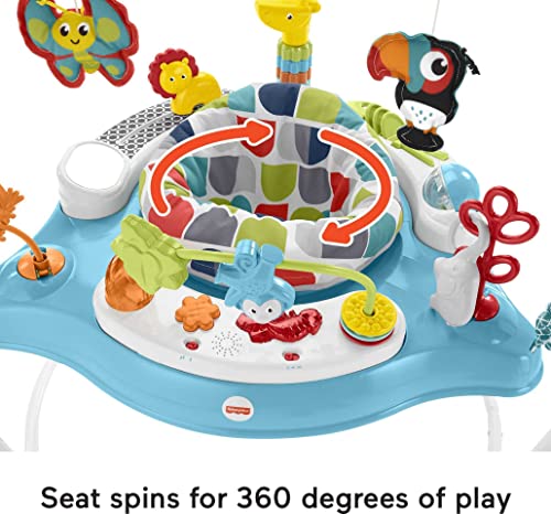 Fisher-Price Color Climbers Jumperoo