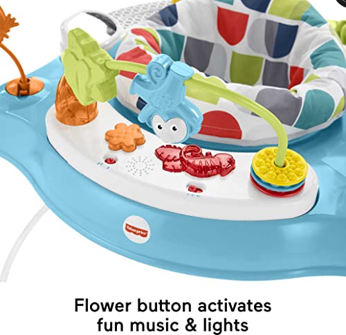 Fisher-Price Color Climbers Jumperoo