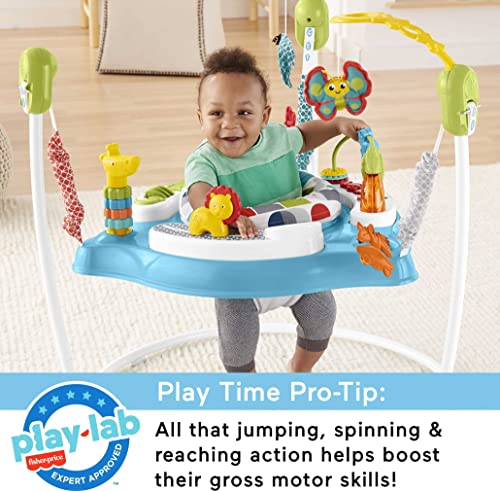 Fisher-Price Color Climbers Jumperoo