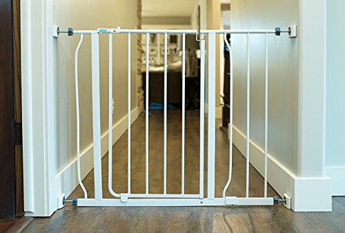 Wall Nanny Mini - Baby Gate Wall Protector (4 Pack - Made in USA) for Dog & Pet Gates - Small Low-Profile Saver - Perfect in Doorways - Cups Protect & Guard Walls from Kid Child Safety Pressure Gates