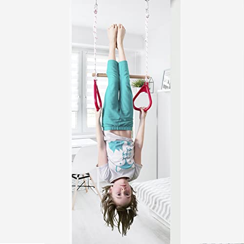 DreamGYM Doorway Sensory Swing Kit - Blue Compression Swing and Trapeze Bar with Red Gym Rings Combo