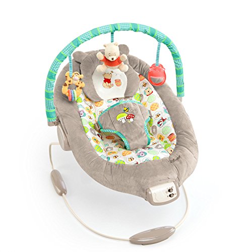 Disney Baby Winnie The Pooh Bouncer, Dots and Hunny Pots