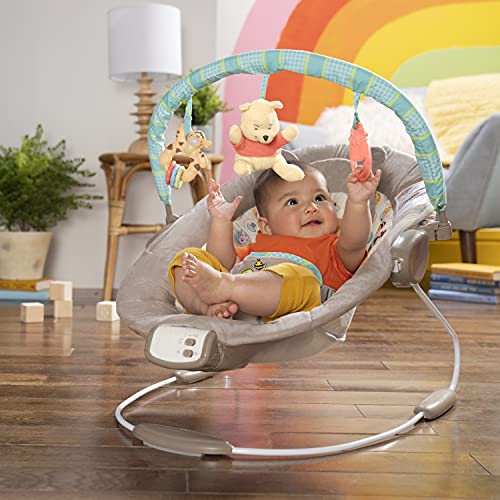 Disney Baby Winnie The Pooh Bouncer, Dots and Hunny Pots