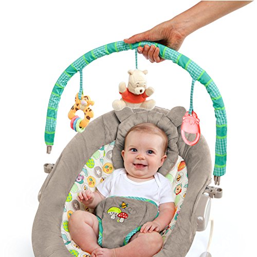 Disney Baby Winnie The Pooh Bouncer, Dots and Hunny Pots