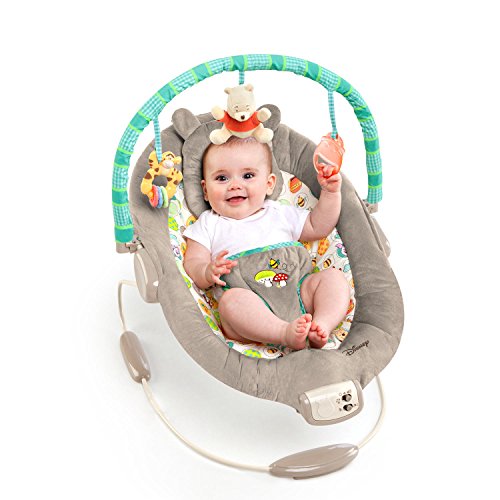 Disney Baby Winnie The Pooh Bouncer, Dots and Hunny Pots