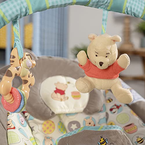 Disney Baby Winnie The Pooh Bouncer, Dots and Hunny Pots