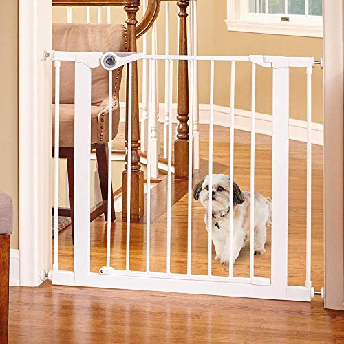 Toddleroo by North States 38.1" Wide Essential Walk Thru Gate: Ideal for securing hallways or doorways. Extra Wide Doorway. Pressure Mount. Fits 29.8"-38.1" Wide (30" Tall, White)