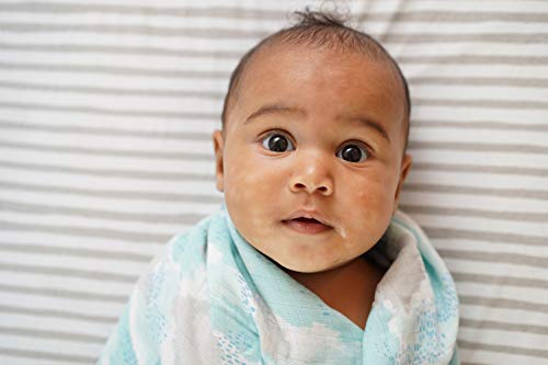 Waterproof Bassinet Sheet,No Need for Bassinet Mattress Pad Cover, 2 Pack Taupe Splash & Stripes,Unisex for Baby Boy and Baby Girl