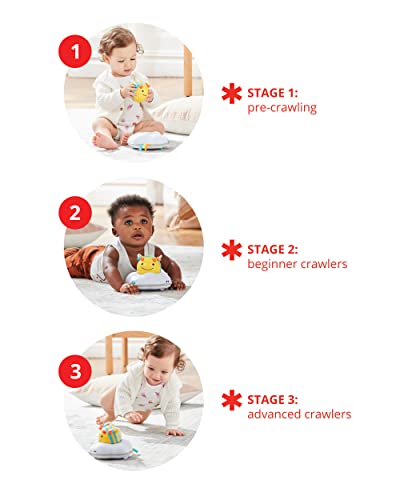 Skip Hop Explore & More Follow-me Bee 3-Stage Developmental Learning Crawl Toy