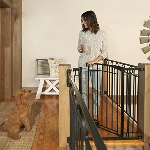 Evenflo Multi-Use Decor Tall Walk-Thru Gate, Black Metal