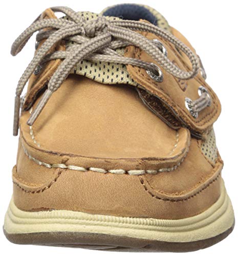 Sperry baby boys Lanyard Alternative Closure Boat Shoe, Dark Tan/Navy, 10.5 Little Kid US