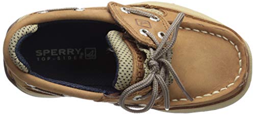 Sperry baby boys Lanyard Alternative Closure Boat Shoe, Dark Tan/Navy, 10.5 Little Kid US