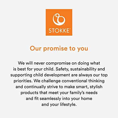 Stokke Steps Bouncer, Grey Clouds - Allows Independent Bouncing & Provides Soft Cradling Motion - Use Alone or with Stokke Steps Chair - Certified by JPMA