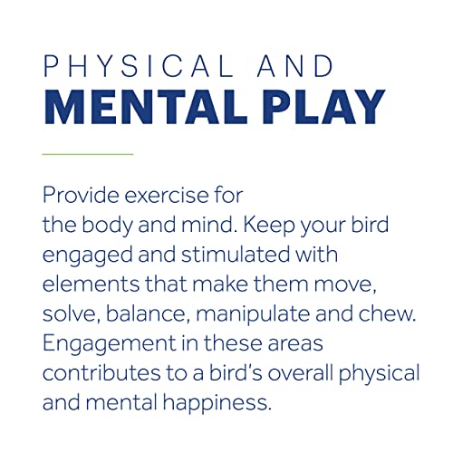 Prevue Hendryx 62806 Naturals Rope Ladder Bird Toy