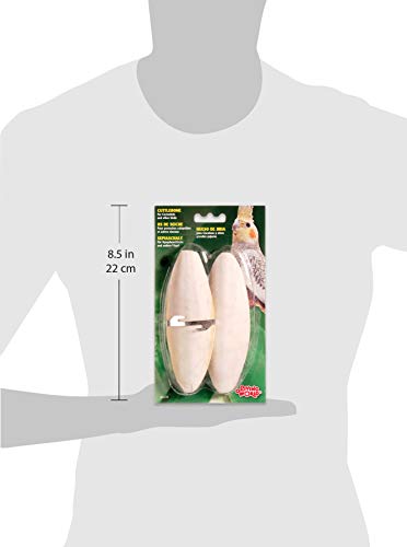 Living World Cuttlebone, Large, Twin Pack