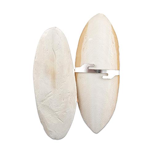 Living World Cuttlebone, Large, Twin Pack