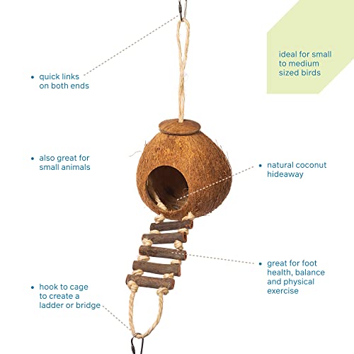 Prevue Hendryx 62801 Naturals Coco Hideaway with Ladder Bird Toy