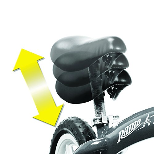 Radio Flyer Balance Bike Glide and Go, Gray