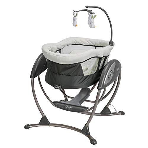 Graco DuoGlider Stroller, Rascal
