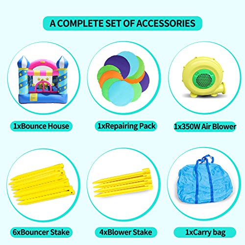 doctor dolphin Inflatable Bouncer Toddler Bounce House for Birthday Party with Air Blower