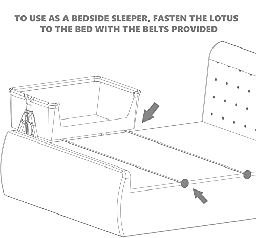 Dream On Me, Lotus Bassinet & Bedside Sleeper in Grey