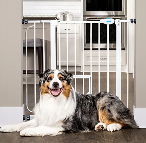 Carlson Extra Wide Walk Through Pet Gate with Small Pet Door, Includes 4-Inch Extension Kit, Pressure Mount Kit and Wall Mount Kit